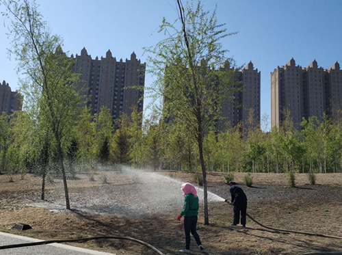 非凡国际(中国区)-官方网站